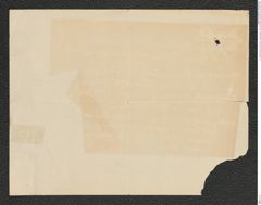 k.k. naturhistorisches Hofmuseum, Intendanzakten 1885-1896 (Hauer), Aktenzahl Z.22-23/1893, Seite 2